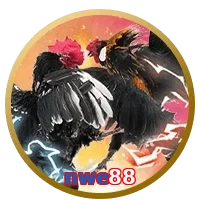 nwe88